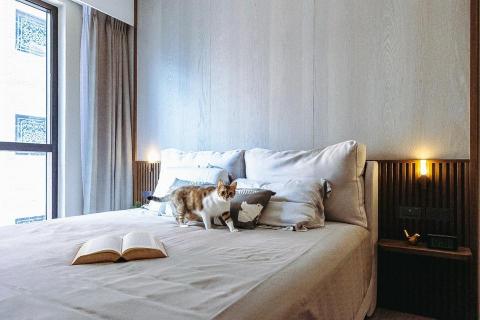 領域設計 -  領域設計 -