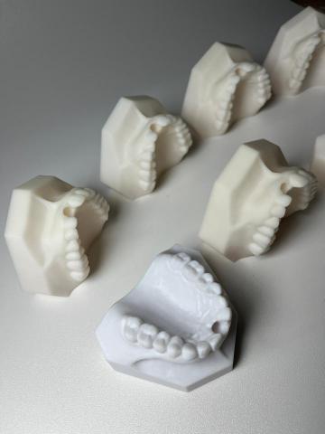 jimmy - 上課用的教學模型也可以客製化生產出來喔~