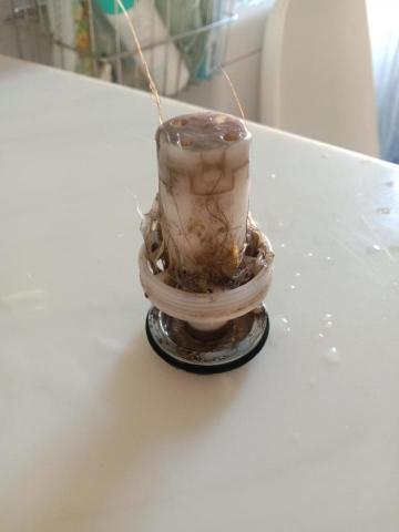 陳麗月 - 洗臉盆落水塞