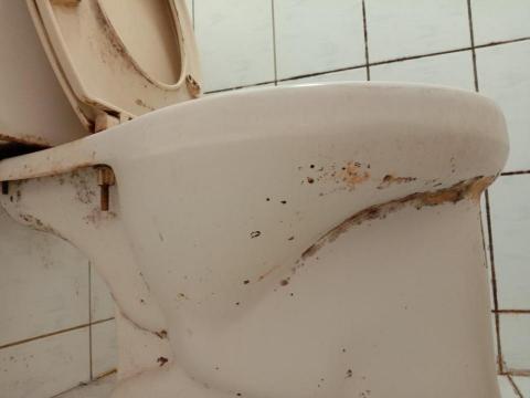 陳麗月 - 打掃前