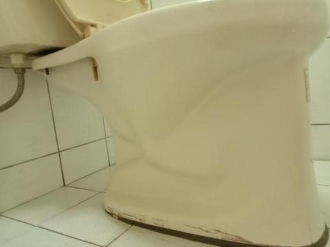 陳麗月 - 打掃後