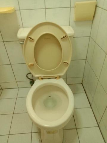 陳麗月 - 馬桶打掃後