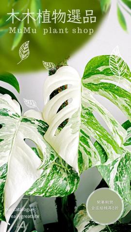 快美明你的專屬美編 - 