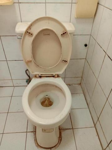 陳麗月 - 馬桶打掃前