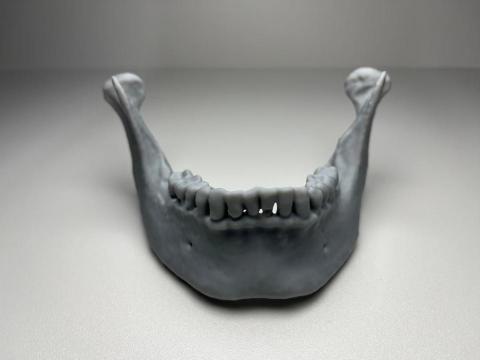 jimmy - CT拍攝完分離出來的下顎骨原來長這樣!!