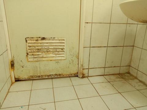 陳麗月 - 廁所門打掃前