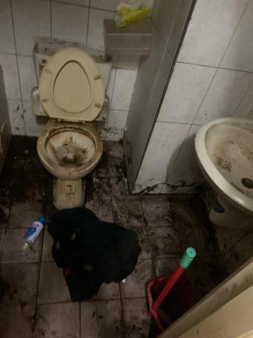 顏小真 - 清潔前