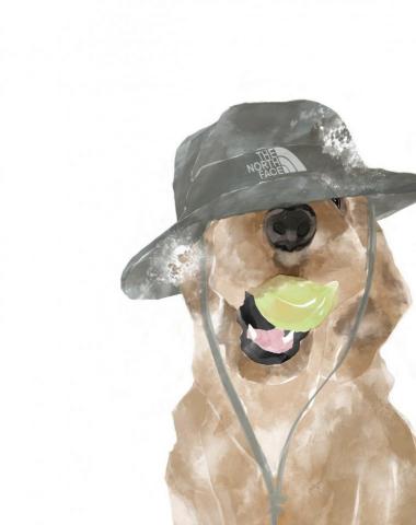 羅宥姍 - 街頭插畫