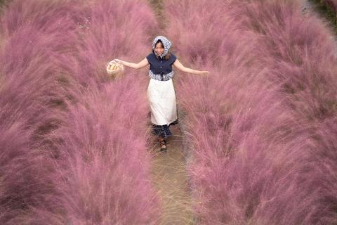 DC Photograthy - 特殊花季拍攝，需提早預約。