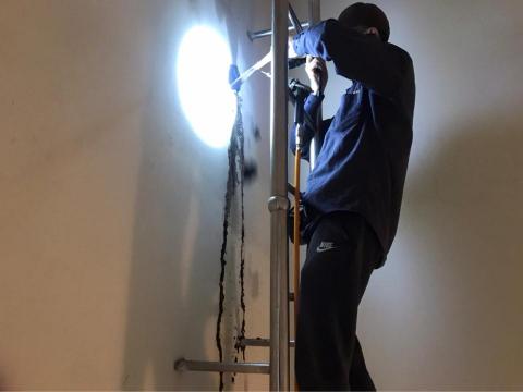 大賀除蟲興業有限公司 - 大樓白蟻防治