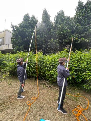 大賀除蟲興業有限公司 - 樹木害蟲防治