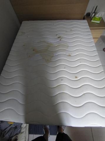 家電/寢具/沙發保養清洗 - 清洗前-床墊上方沾染寵物的大小便汙漬