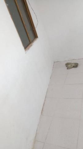  力鴻宅修公司   林嘉期 - 批土.防水.油漆 完成
後製作業