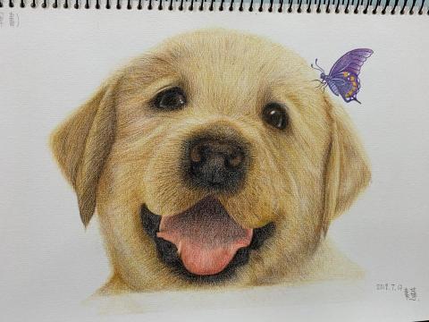 大熊老師(黃俊雄) - 指導學生作品(色鉛筆)