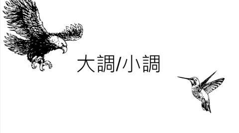 Vovo - 樂理課程與彈奏