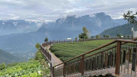 提供人人視頻服務的專家樂崇佑