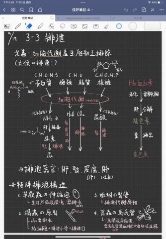朱庭萱 - 同上，一邊上課一邊整理的筆記