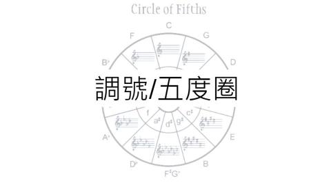 Vovo - 樂理課程與彈奏