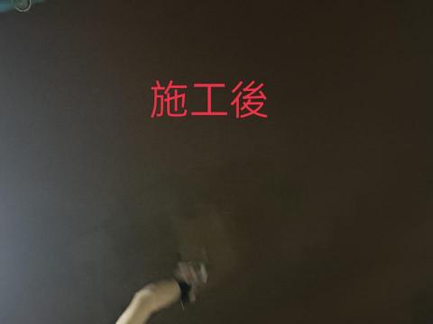 王小姐 - 