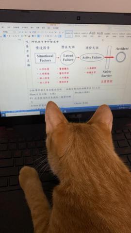 詹涵伃 - 具有基本word排版能力