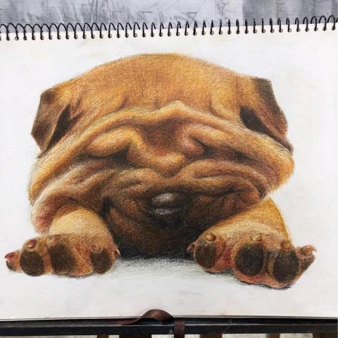 葉佩瑜 - 2015.2.18 色鉛筆作品