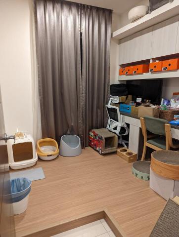 宅潔立家事服務派遣有限公司 - 寵物“貓大人”空間清潔