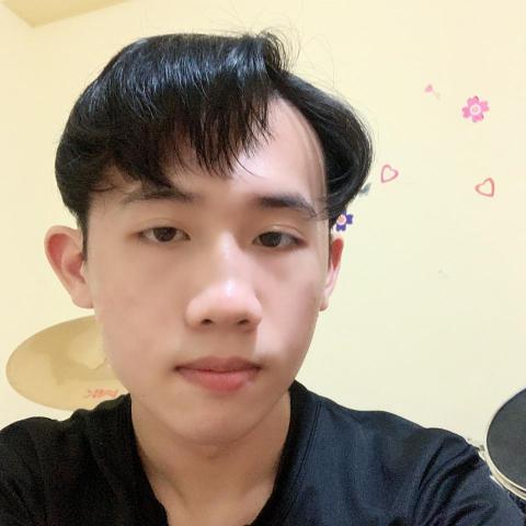 提供工資服務的專家paradise