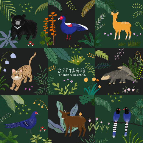 洪紫瑜 - 【 插畫設計 】臺灣特有種
完整專案▾
https://www.behance.net/gallery/149360575/ILLUSTRATION-