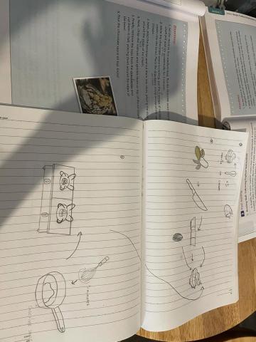 Mila - 善於用多元教學法讓孩子接觸學習英語