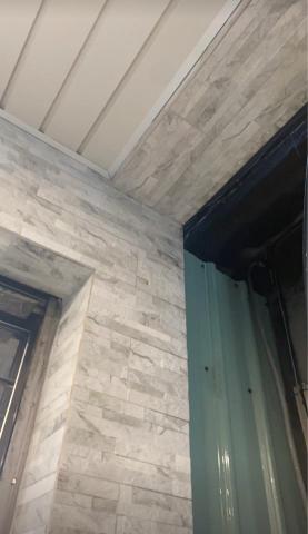 陳子旭 -  陳子旭 -