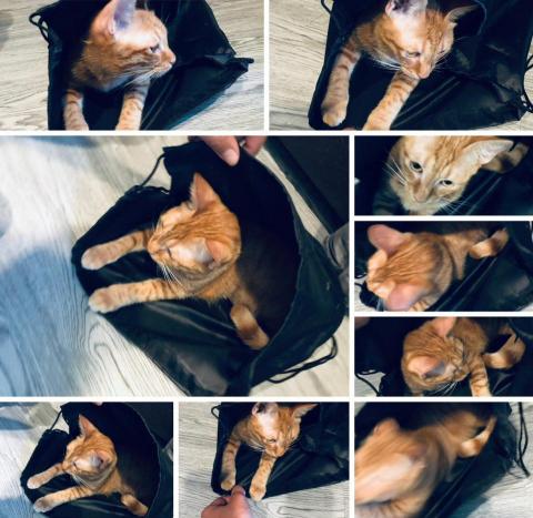 mijo米酒 - 寫作時的靈感