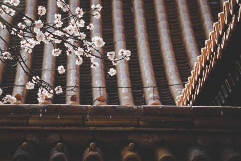 阿杰 - 風景-故宮