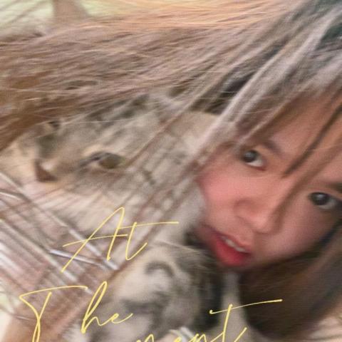 提供ig宣傳服務的專家YA WUN YANG