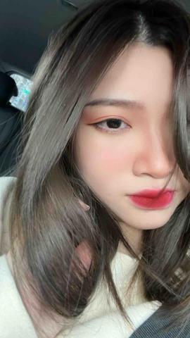 提供老鼠誘餌服務的專家楊蕎