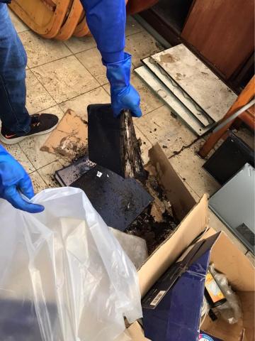 舒適淨工程行-蘇先生 - 白蟻防治+清理