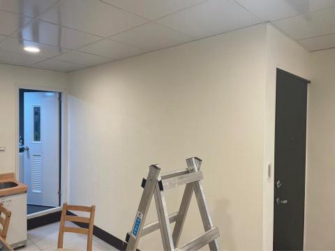 鎧鑫油漆工作室 - 牆面百合白