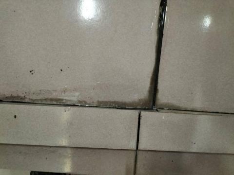 金樹油漆防水，磁磚保養清洗工程行 - 4