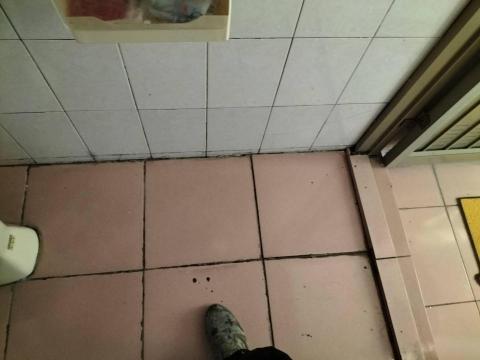 金樹油漆防水，磁磚保養清洗工程行 - 2