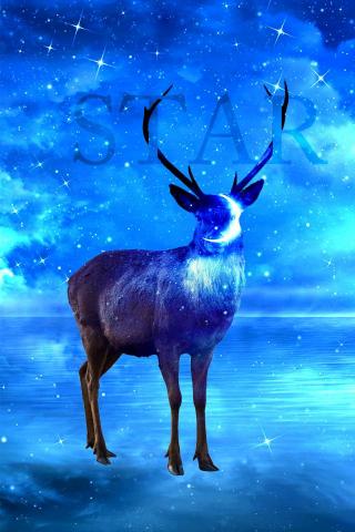 王聖鈞 - 文字穿插+雙重曝光-星光鹿