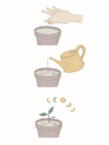 Lisa lee - Iustration Lisa lee - Iustration