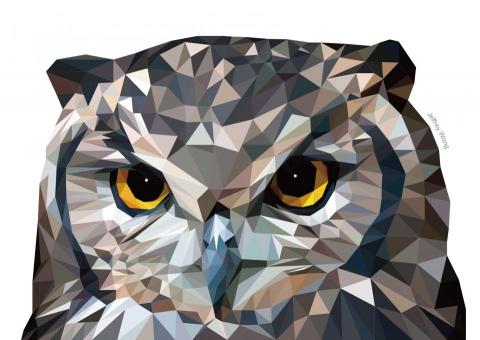王聖鈞 - lowpoly藝術風格-貓頭鷹