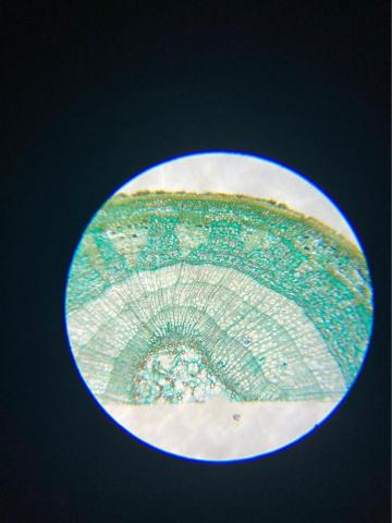 瓏畯科學教室 - 