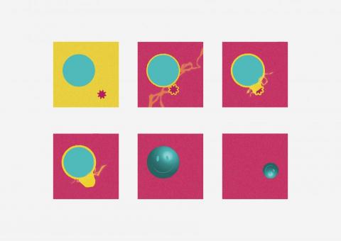 PingPingliDesign -  PingPingliDesign -