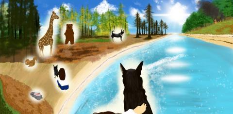 PingPingliDesign -  PingPingliDesign -