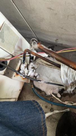 樂得有限公司 -  冷氣抓漏處理