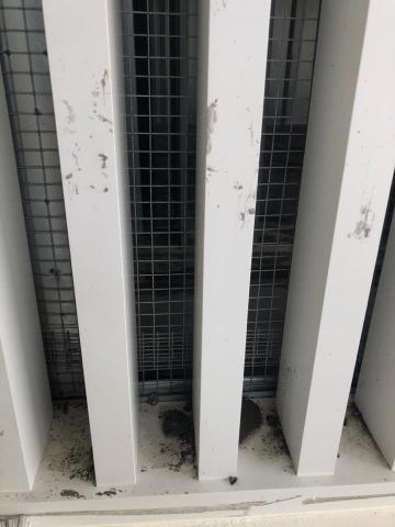 🔆 清潔小幫手 🔆 - 欄杆處理前