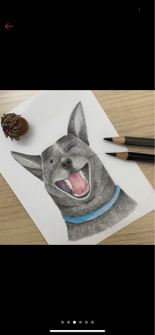 Wanyu療畫室 -  Wanyu療畫室 -