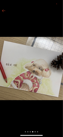 Wanyu療畫室 -  Wanyu療畫室 -