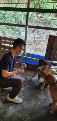 毛主子 - 浪浪探訪