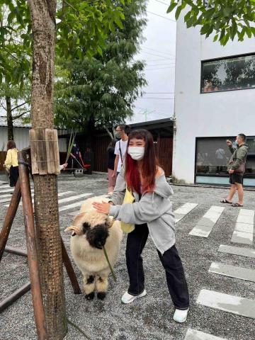 提供53服務的專家侯沂葭